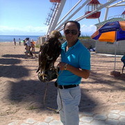  ,   , 59 ,   