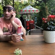 ���������� �����-���������, ���� ������� ������, 44 ����, ������������ ��� ������, ����� � ���������, c�������� ���������