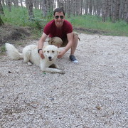  ,   Ramzesi, 41 ,   ,   , c 