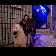  ,   Veles, 46 ,   ,   , c , 
