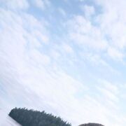 ���������� �����-���������, ���� ������� �����, 44 ����, ������������ ��� ������, ����� � ���������, ���������