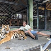 ���������� �����-���������, ���� ������� ����, 31 ���, ������������ ��� ������, ����� � ���������, c�������� ���������