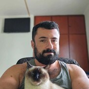 ���������� �����, ���� ������� ����, 40 ���, ������������ ��� ����� � ���������, c�������� ���������