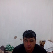  ,   Adyl 75, 49 ,   