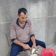  ,   Xayrulla, 45 ,   ,   , c , 