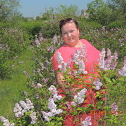 ���������� ����, ���� ������� ���������, 33 ����, ������������ ��� ������, ����� � ���������, c�������� ���������