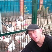 ���������� ����������, ���� ������� �����, 43 ����, ������������ ��� ������, ����� � ���������, c�������� ���������, ���������