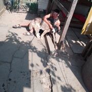 ���������� ���������, ���� ������� Niko, 32 ����, ������������ ��� ������, ����� � ���������, ���������