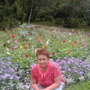  --,   , 65 ,     , c 