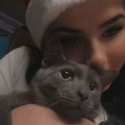 ���������� Praha, �����