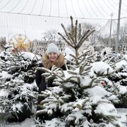 ���������� ������, ���� ������� ������, 58 ���, ������������ ��� c�������� ���������, ���������