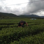  ,   , 38 ,     , c 