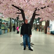  ,   , 43 ,   ,   