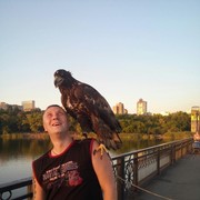 ���������� ������, ���� ������� ����, 36 ���, ������������ ��� ������, ����� � ���������, c�������� ���������