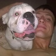 ���������� �����-��������, ������� Mitjey, 43