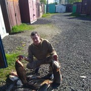 ���������� �����������-��-�����, ���� ������� �������, 38 ���, ������������ ��� ������, ����� � ���������, c�������� ���������