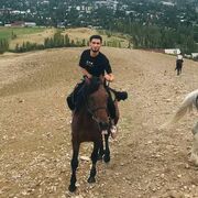  -,   Murat, 31 ,   ,   , c , 