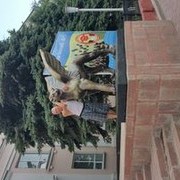 ���������� ��������, ���� ������� �������, 44 ����, ������������ ��� ������