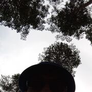 ���������� ������, ���� ������� �����, 36 ���, ������������ ��� ������, ����� � ���������, c�������� ���������