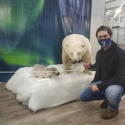 ���������� ������, ���� ������� ������, 38 ���, ������������ 