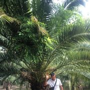  ,   , 58 ,   ,   , c 