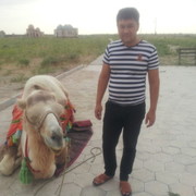  ,   Timur, 38 ,   ,   , c 