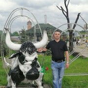 ���������� �����������, ���� ������� �������, 46 ���, ������������ ��� ������, c�������� ���������