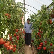 ���������� �������, ���� ������� ���������, 64 ����, ������������ ��� ����� � ���������, c�������� ���������