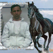  -,   , 50 ,  