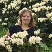 ���������� ����������, ���� ������� ���������, 33 ����, ������������ ��� ������, ����� � ���������