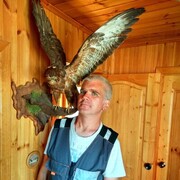 ���������� ������, ���� ������� �����, 50 ���, ������������ ��� ������, ���������