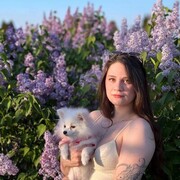 ���������� ������, ���������