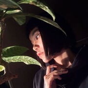 ���������� �����-���������, Miya