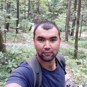 ���������� ������, ���� ������� Farrux, 31 ���, ������������ ��� ������, ����� � ���������