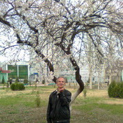  ,   , 74 ,   ,   , c , 