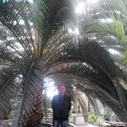  ,   , 51 ,   ,   , c 