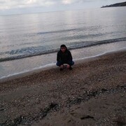 ���������� �����������, ���� ������� ˸���, 38 ���, ������������ ��� ������, ����� � ���������