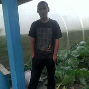  ,   , 31 ,   c 