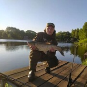 ���������� �����������, ���� ������� ���������, 38 ���, ������������ ��� c�������� ���������, ���������