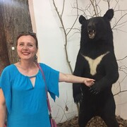  ,   , 53 ,   c 