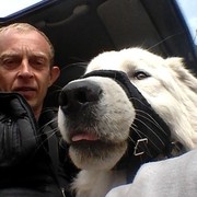 ���������� ������, ���� ������� ������, 50 ���, ������������ ��� ������, ����� � ���������, c�������� ���������