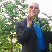  ,   , 74 ,   ,   , 