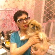  ,   , 56 ,  