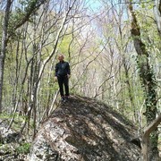  ,   Koly, 37 ,     , c 