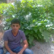 ���������� �������, ���� ������� Baevik, 35 ���, ������������ 