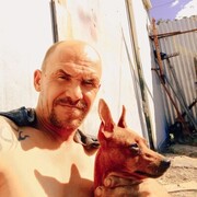  -,   , 43 ,   ,   