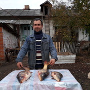  ,   , 43 ,   