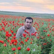  ,   ALI, 33 ,   ,   