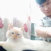 ���������� ������, ���� ������� �����, 42 ����, ������������ ��� ������, ����� � ���������, c�������� ���������