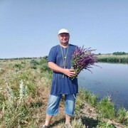 ���������� �����, ���� ������� ��������, 40 ���, ������������ ��� ������, ����� � ���������, c�������� ���������, ���������